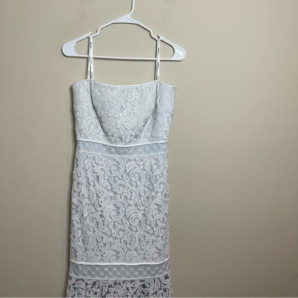 Tadashi Shoji Lace Overlay Strapless Dress - Picture 5 of 14